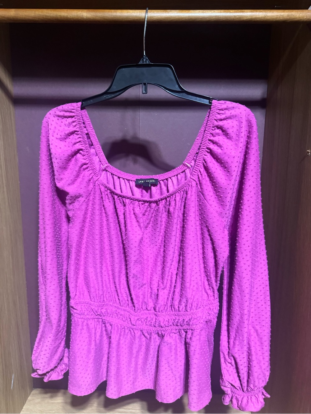 Lane Bryant Pink Swiss Dot Peplum Blouse Size 10/12 Long Sleeve